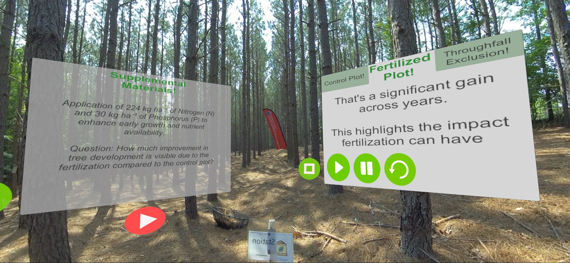 A Step into the Woods!
